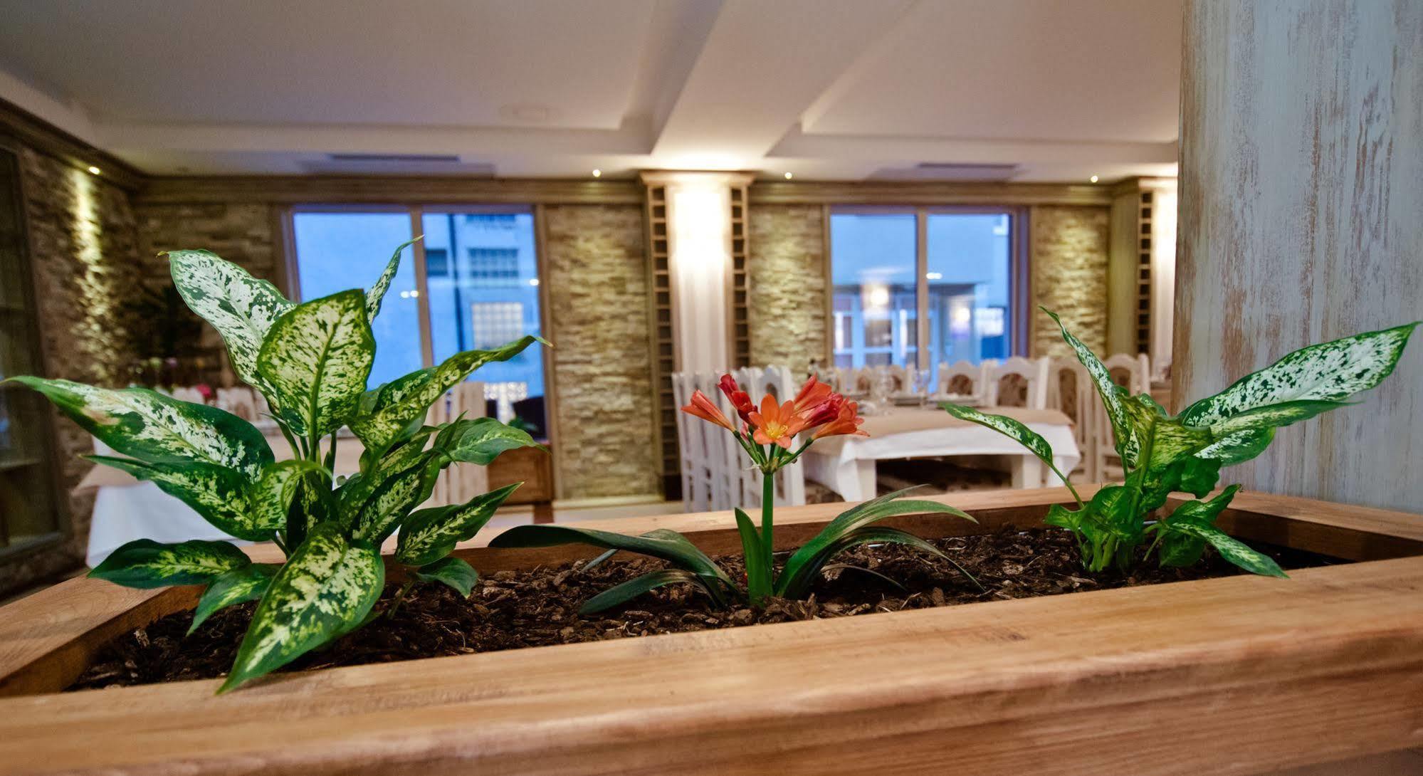 Wine Hotel Cesarica Međugorje Kültér fotó